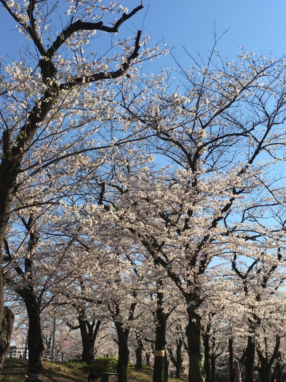 Ryokan Nakadaya Tokió Kültér fotó